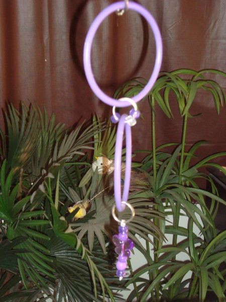 Brinquedo de Argolas
