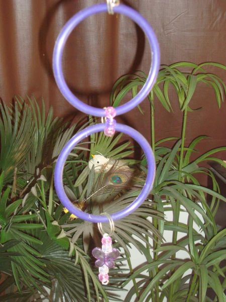 Brinquedo de Argolas